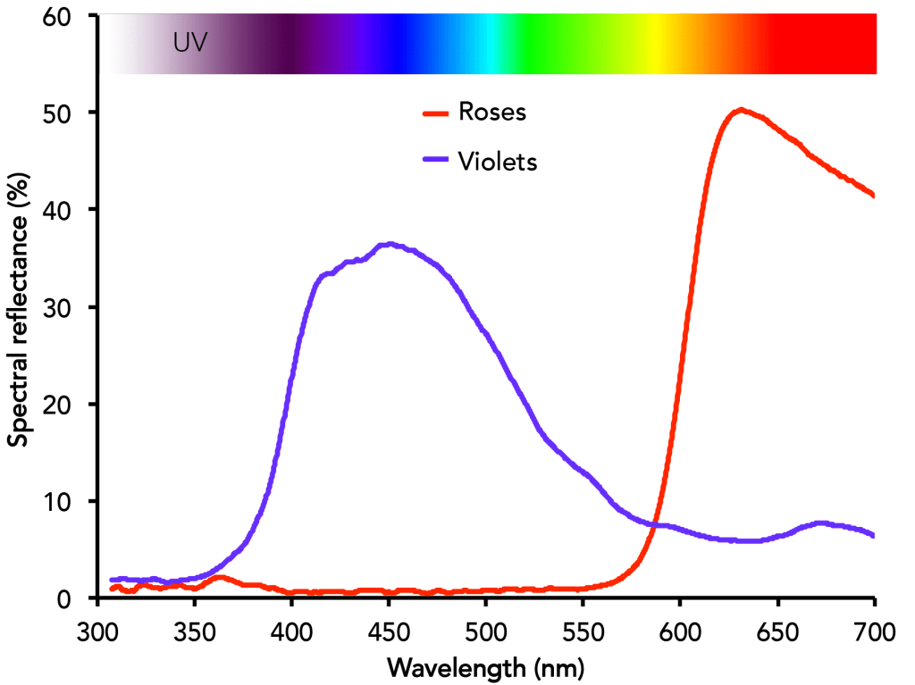 Roses are red,  Violets are blue,  Botany is sexy, But less so than you.
