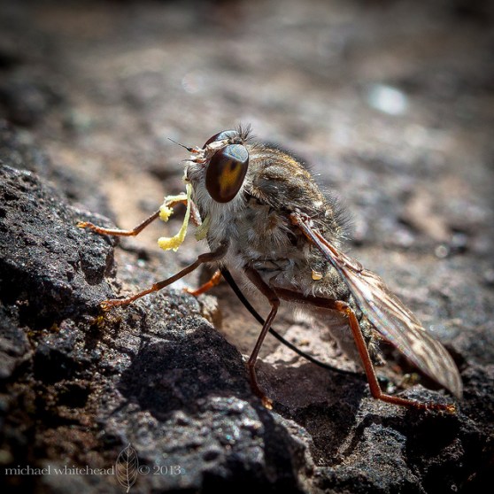 8486215062_35dceb5890_z